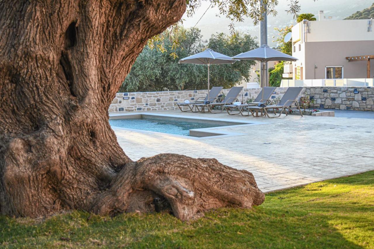 Paul'S Villa Plakias Exterior photo